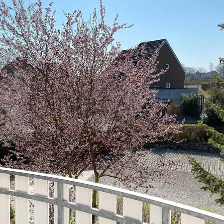 W6 - Gaestehaus Christian-westphal-str 60 - Feriendomizil Hollich Grömitz